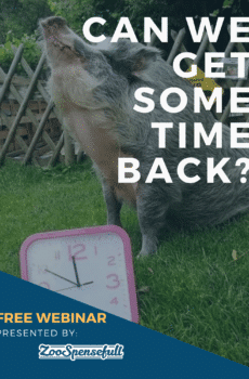 FREE WEBINAR: Can We Have Some Time Back?